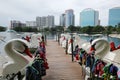 Line of swan paddle boats for rent at Lake Eola.