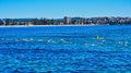 A Line of Swimmers in Ocean Race, Manly, Sydney, Australia