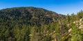 Forested Mountaintops in Southern California Royalty Free Stock Photo