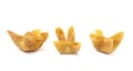 Line of Fried Stuffed Wontons on a White Background
