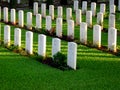 Line of Tombstones