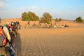 Line of Tourists Riding Dromedaries through Sahara Great Desert in High Atlas Mountains, Morocco Royalty Free Stock Photo