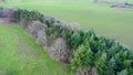 Line of trees in farmland, copse in pastures Royalty Free Stock Photo