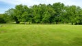 Trees by a green lawn in a park