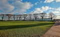 Line of trees in a park in St. Petersburg under the cloudy sky Royalty Free Stock Photo