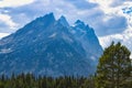 A line of trees stands in the foreground as the Cathedral Group of the Teton Range towers in the background