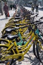 A line up of dockless shared bikes