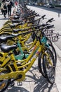 A line up of dockless shared bikes