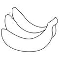 Line vector realistic illustration of bunch of bananas. Banana isolated on white background, banana icon Royalty Free Stock Photo