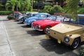 A line of Volkswagen bugs in a tropical parking lot in front of a national park in Chicamocha Colombia