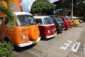 A line of VW minibuses at a national park in Colombia