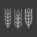 Line wheat ears icons set black on white background