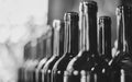 Line of wine bottles. Close-up. Bottles before the bottling. Royalty Free Stock Photo