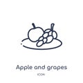 Linear apple and grapes icon from Food outline collection. Thin line apple and grapes icon isolated on white background. apple and