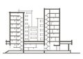 Linear architectural sketch of multistory building. Sectional drawing