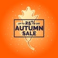 Linear Autumn sale banner