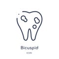 Linear bicuspid icon from Dentist outline collection. Thin line bicuspid icon isolated on white background. bicuspid trendy