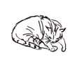 Linear black and white drawing of a sleeping cat