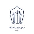 Linear blood supply system icon from Human body parts outline collection. Thin line blood supply system icon isolated on white