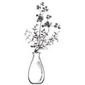 Linear bouquet wildflowers in vase, engraving sketch isolated on white background. Vector illustration, greeting cards, logo,