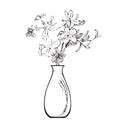 Linear bouquet wildflowers in vase, engraving sketch isolated on white background. Vector illustration, greeting cards, logo,