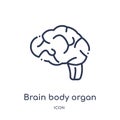 Linear brain body organ icon from Human body parts outline collection. Thin line brain body organ icon isolated on white Royalty Free Stock Photo