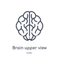 Linear brain upper view icon from Human body parts outline collection. Thin line brain upper view icon isolated on white