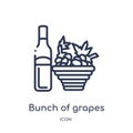 Linear bunch of grapes icon from Drinks outline collection. Thin line bunch of grapes vector isolated on white background. bunch