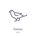 Linear canary icon from Animals and wildlife outline collection. Thin line canary vector isolated on white background. canary