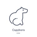Linear capybara icon from Animals outline collection. Thin line capybara icon isolated on white background. capybara trendy