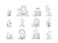 Linear cartoon flowers. A set of fantastic plants and flowers, fragments of a flower meadow. Vector illustration on white