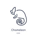 Linear chameleon icon from Animals outline collection. Thin line chameleon icon isolated on white background. chameleon trendy