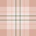 Linear check texture vector, 1960s pattern tartan background. Youth plaid textile seamless fabric in light and white colors