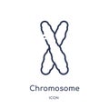 Linear chromosome icon from Chemistry outline collection. Thin line chromosome vector isolated on white background. chromosome