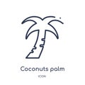 Linear coconuts palm tree of brazil icon from Culture outline collection. Thin line coconuts palm tree of brazil vector isolated