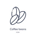 Linear coffee beans icon from Brazilia outline collection. Thin line coffee beans vector isolated on white background. coffee