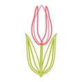 Linear color stylized tulip pattern. Isolated icon.