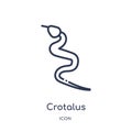 Linear crotalus icon from Desert outline collection. Thin line crotalus vector isolated on white background. crotalus trendy