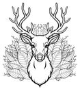 Linear drawing of the head of a young horned deer, bouquet of leaves.