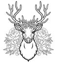 Linear drawing of the head of a young horned deer, openwork flowers, romantic wreath.