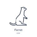 Linear ferret icon from Animals and wildlife outline collection. Thin line ferret vector isolated on white background. ferret