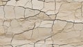 Linear Fissures Mosaic: Limestone Backdrop. AI generate