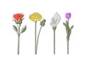 Linear flowers rose, dandelion, calla lily, tulip with abstract spots Royalty Free Stock Photo