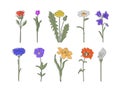 Linear flowers set rose, dandelion, calla lily, tulip, bell, chamomile Royalty Free Stock Photo