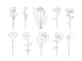 Linear flowers set rose, tulip, dandelion, chamomile, bell, cornflower, violet