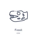 Linear fossil icon from History outline collection. Thin line fossil icon isolated on white background. fossil trendy illustration Royalty Free Stock Photo