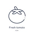 Linear fresh tomato icon from Bistro and restaurant outline collection. Thin line fresh tomato vector isolated on white background