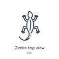 Linear gecko top view shape icon from Culture outline collection. Thin line gecko top view shape vector isolated on white