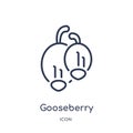 Linear gooseberry icon from Gastronomy outline collection. Thin line gooseberry icon isolated on white background. gooseberry