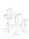 Linear graphic black and white drawing of flamingos stand in water on a lake